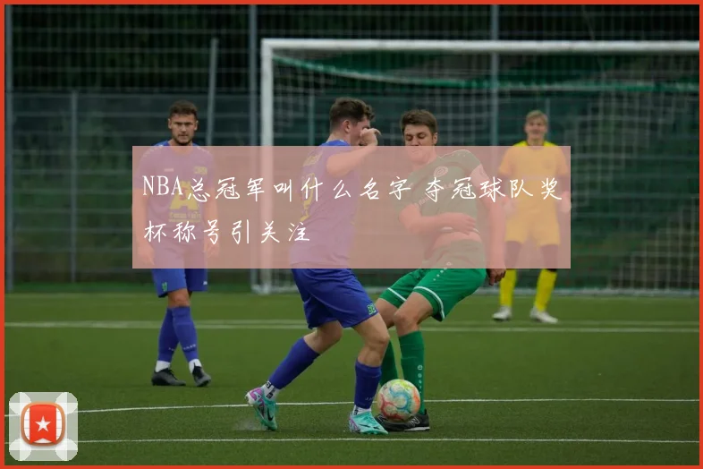 NBA总冠军叫什么名字 夺冠球队奖杯称号引关注