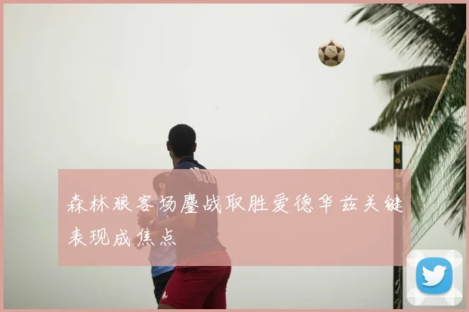 森林狼客场鏖战取胜爱德华兹关键表现成焦点