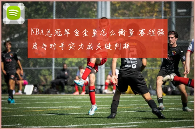 NBA总冠军含金量怎么衡量 赛程强度与对手实力成关键判断